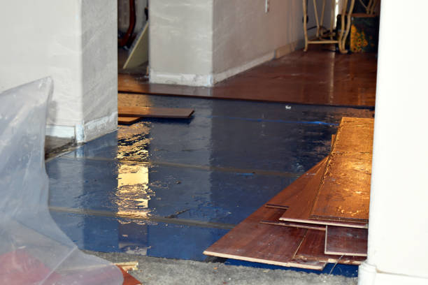 Professional Burst Pipe Cleanup technician working in Victoria, KS